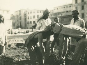 23 Surairi al carico.jpg